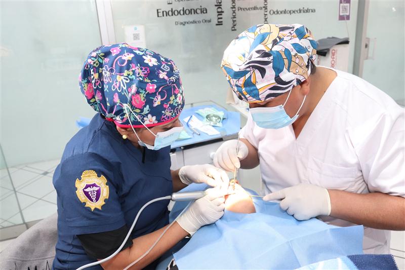 Endodoncias